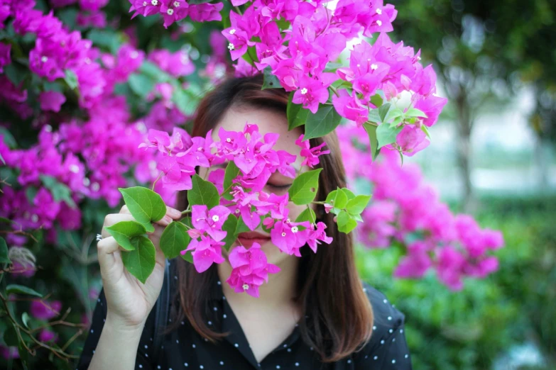 a woman holding a flower in front of her face, pexels contest winner, bougainvillea, set on singaporean aesthetic, 👰 🏇 ❌ 🍃, purple flower trees