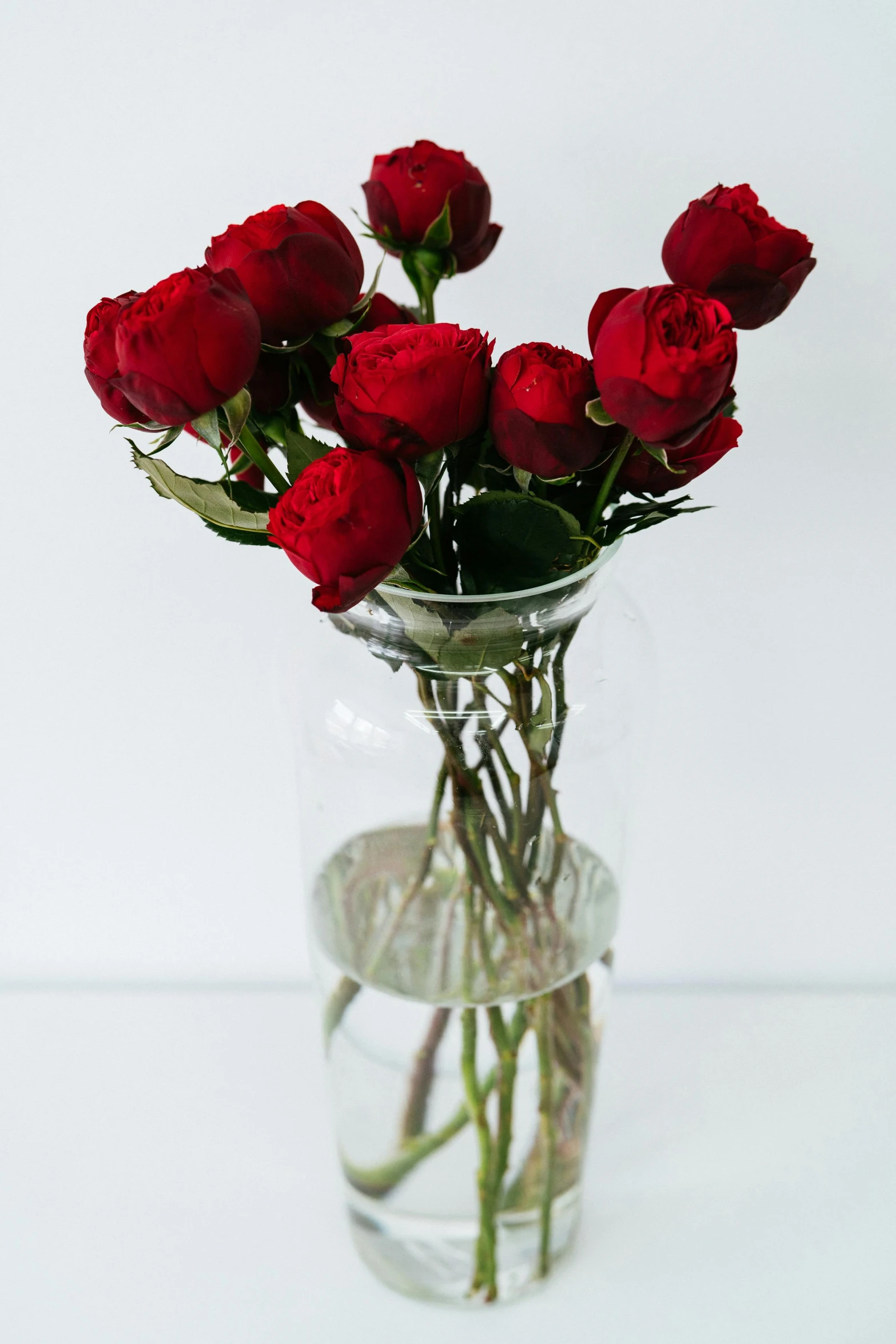 a vase filled with red roses sitting on a table, full product shot, flowy, close together, large tall