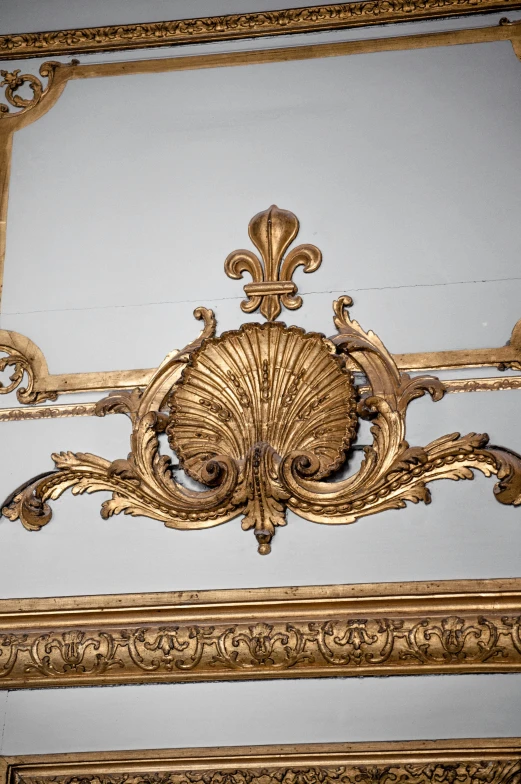 a close up of a gold frame on a wall, by David Simpson, ornamentation, large shell, lot of details, hull