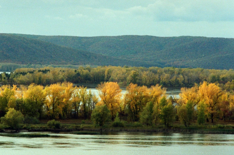 a large body of water surrounded by trees, by Koloman Sokol, pexels contest winner, hudson river school, rostov city, willow tree and hill, shades of gold display naturally, 2000s photo
