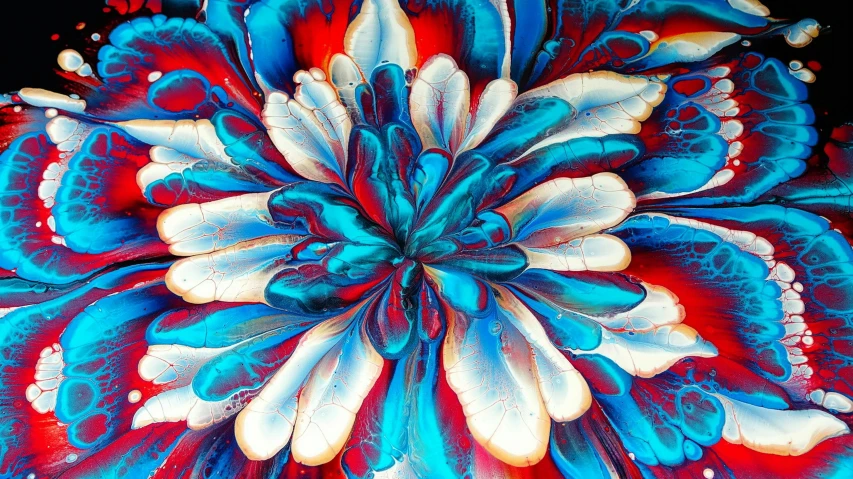 a painting of a red, white and blue flower, a detailed painting, flickr, abstract art, colourful slime, detailed painting 4 k, red and cyan theme, blue - petals