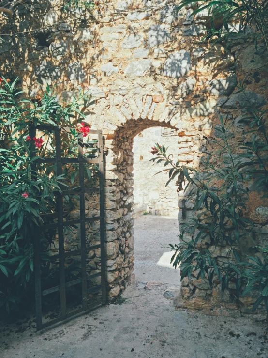 a stone wall with a gate in the middle of it, an album cover, inspired by Luis Paret y Alcazar, pexels contest winner, renaissance, exterior botanical garden, ancient mediterranean village, instagram story, photo taken on fujifilm superia