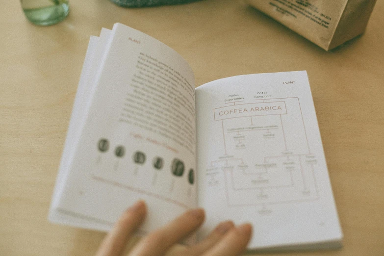 a person reading a book on a table, a wireframe diagram, by Emma Andijewska, tree of life seed of doubt, arabica style, low quality photo, children's book