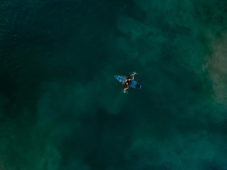 a person riding a surfboard on top of a body of water, by Emma Andijewska, pexels contest winner, minimalism, deep colours. ”, airplane view, hunting, caught in 4k