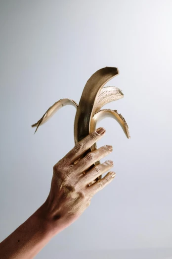 a person holding a banana in their hand, an abstract sculpture, by Nina Hamnett, botanicals, dirty nails, promo image, photographed for reuters