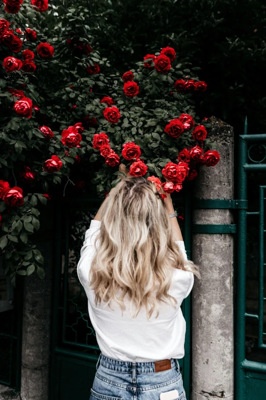 a woman standing in front of a red rose bush, by Julia Pishtar, trending on unsplash, flowing blonde hair, back of the hair, multiple stories, the girl made out of flowers