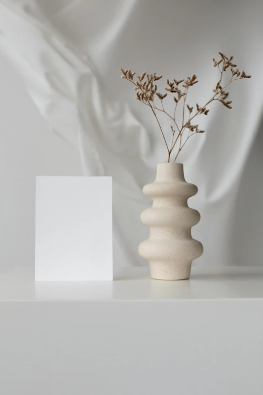 a vase that has some flowers in it, an abstract sculpture, inspired by Robert Mapplethorpe, unsplash contest winner, focus on card, light cream and white colors, greeting card, matte surface