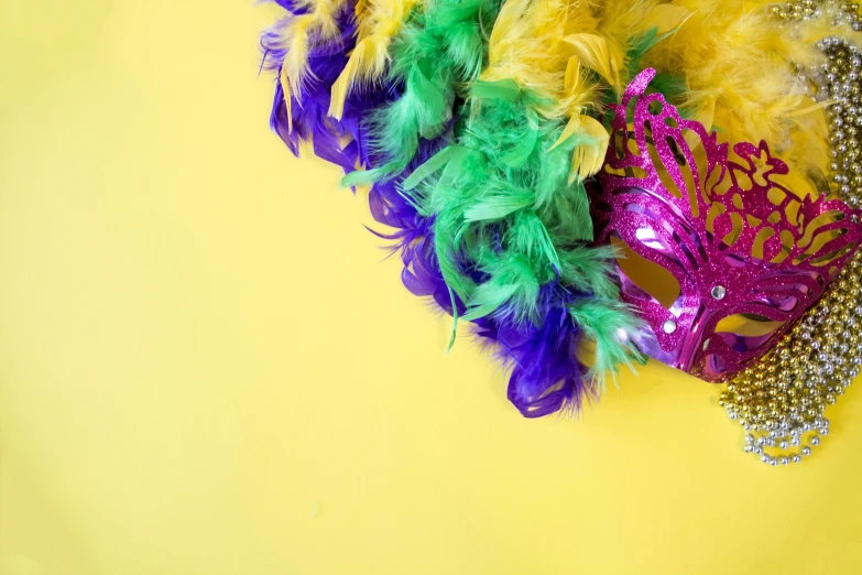 a close up of a mardi gras mask on a yellow background, trending on pexels, feather boa, various colors, lgbt, instagram post