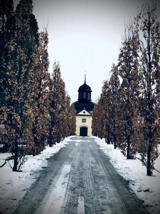 a church in the middle of a snowy road, an album cover, by Jesper Knudsen, pexels contest winner, baroque, trees outside, iphone picture, anato finnstark. front view, botanical garden