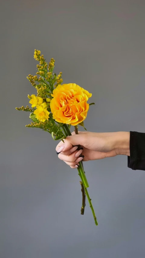 a person holding a bunch of yellow flowers, a still life, inspired by Robert Mapplethorpe, unsplash, three quarter shot, natural point rose', orange fluffy spines, elliot alderson