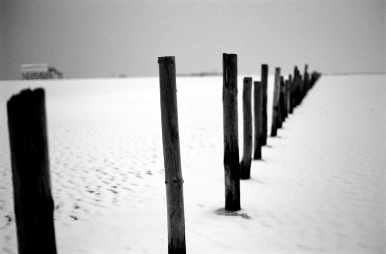 a black and white photo of a row of poles in the snow, a black and white photo, conceptual art, beaches, 3 5 mm slide, farming, marker”