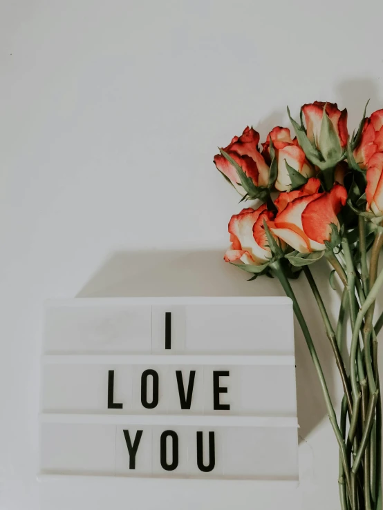 a vase filled with red roses next to a sign that says i love you, by Julia Pishtar, trending on unsplash, light box, ¯_(ツ)_/¯