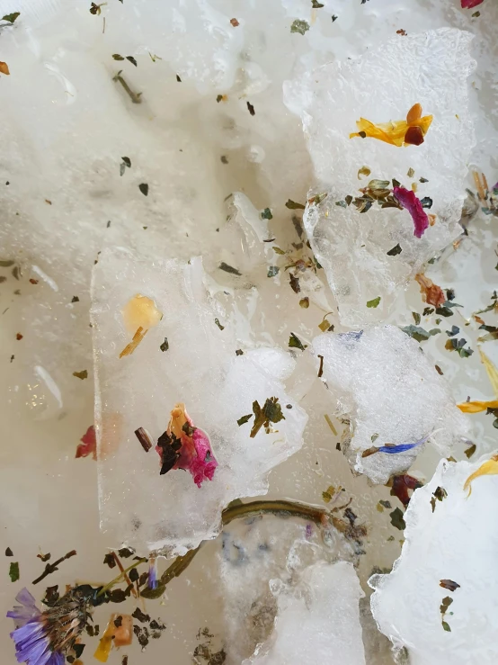 a pile of ice sitting on top of a table, by Jessie Algie, unsplash, process art, herbs and flowers, milk - bath effect, ignant, bottom body close up