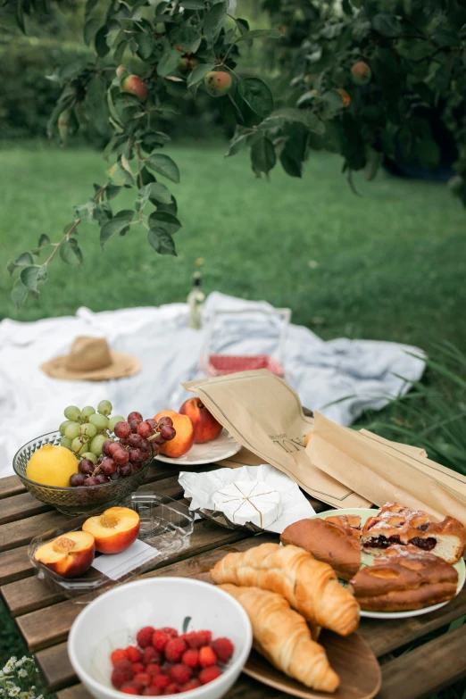 a picnic table with a basket of fruit and croissants, profile image, bags on ground, garden setting, cheeses