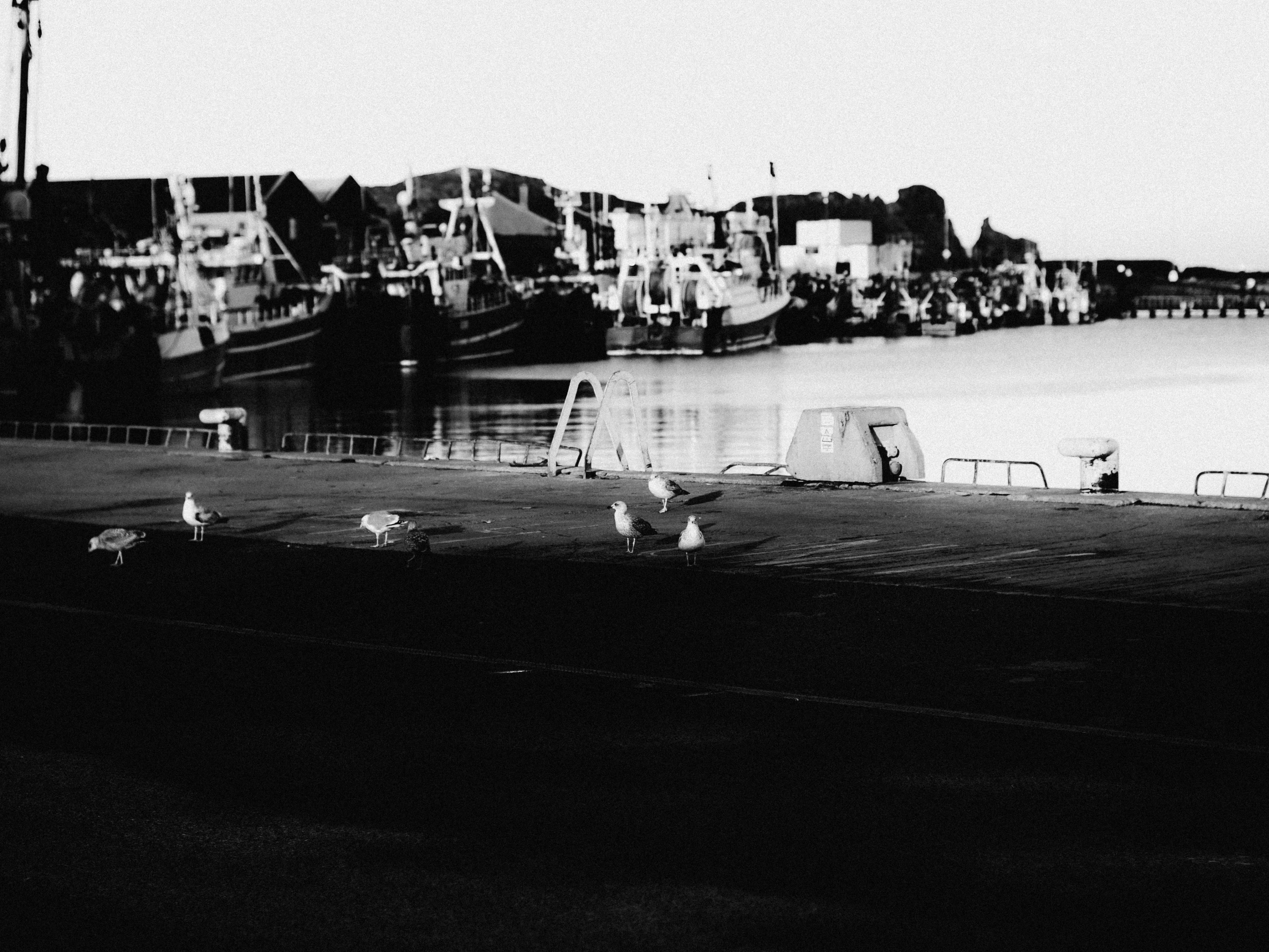 a number of birds near a body of water, a black and white photo, unsplash, ships in the harbor, holga hasselblad, townscape, low quality footage