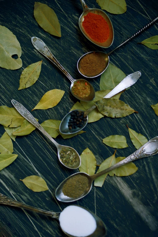 a group of spoons sitting on top of a table, dark green leaves, spices, vastayan, blue
