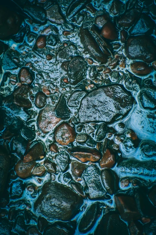 a group of rocks sitting on top of a river, a microscopic photo, by Jacob Toorenvliet, unsplash, wet pavement, jelly - like texture, cold blue colors, a high angle shot