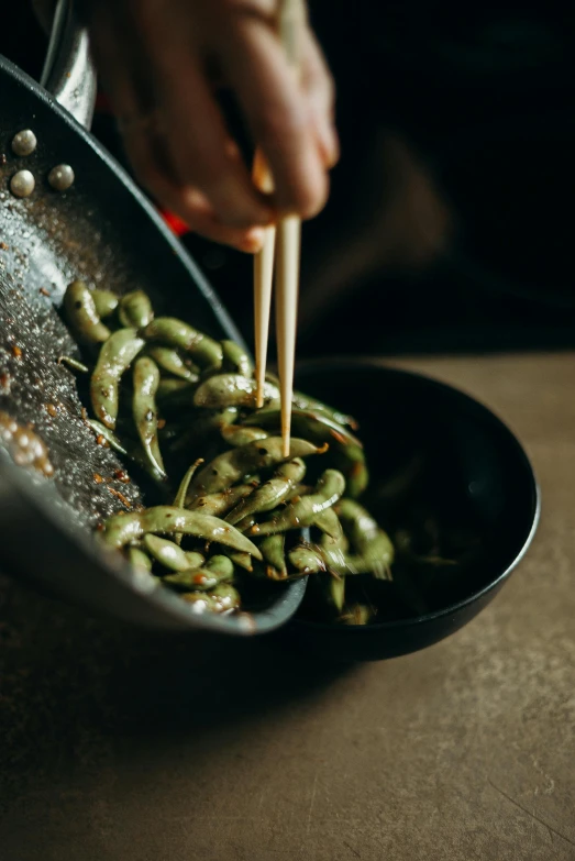 a person holding chopsticks over a bowl of food, beans, zoomed in, sage, made of insects