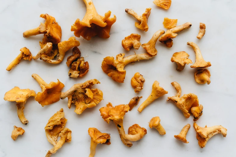 a bunch of mushrooms that are on a table, by Carey Morris, trending on pexels, gold flaked flowers, orange hue, epicurious, battered