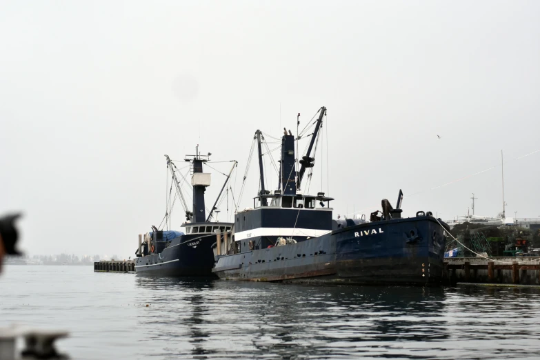 a couple of boats that are in the water, a portrait, by Sven Erixson, unsplash, utilitarian cargo ship, ready to eat, courtesy mbari, before the final culling