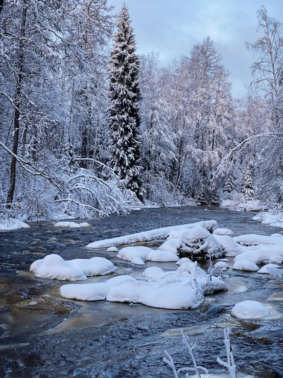 a river running through a forest covered in snow, tarmo juhola, & a river, in the evening, posing