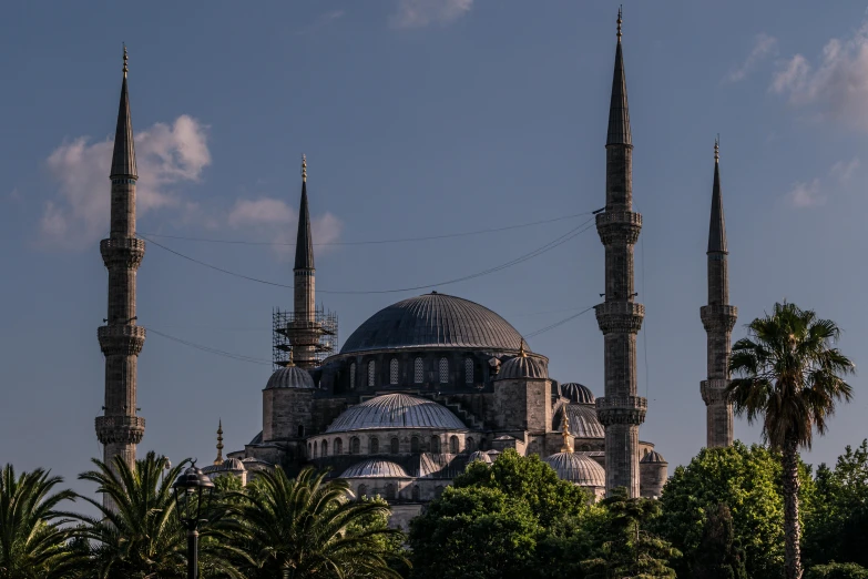 a large building surrounded by trees and palm trees, by Ismail Acar, pexels contest winner, hurufiyya, black domes and spires, 256x256, blue, istanbul