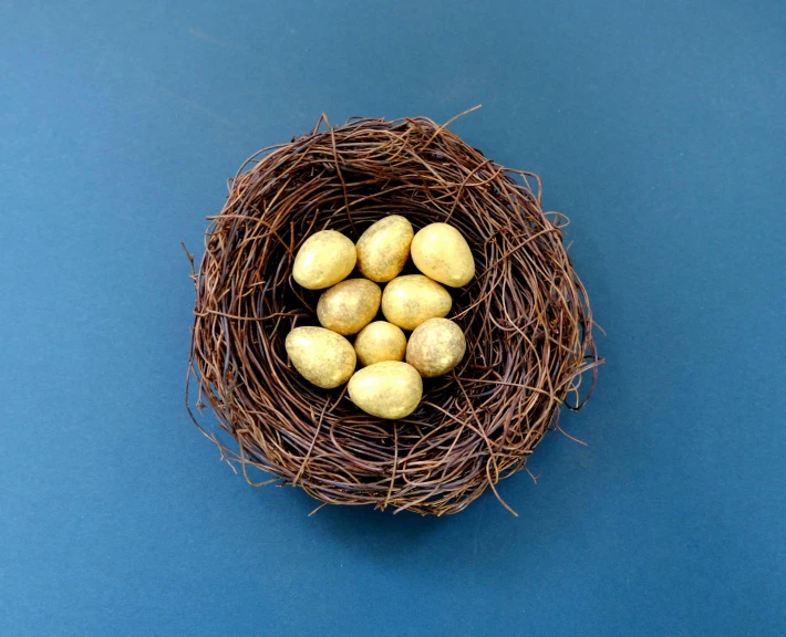 a nest filled with potatoes on top of a blue table, by Sylvia Wishart, pexels contest winner, arranged in the golden ratio, gold ratio, easter, 15081959 21121991 01012000 4k