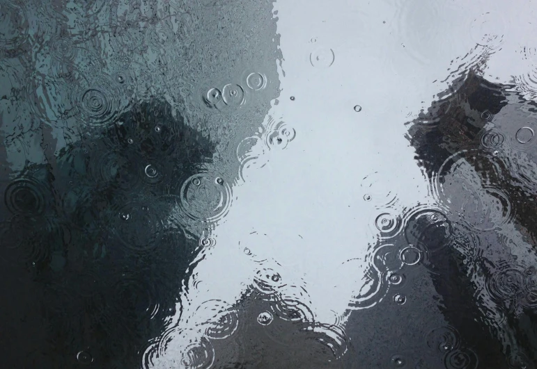 a black and white dog standing in the rain, a photorealistic painting, by Jan Rustem, abstract detail, bubbles, colour photograph, wet metal reflections