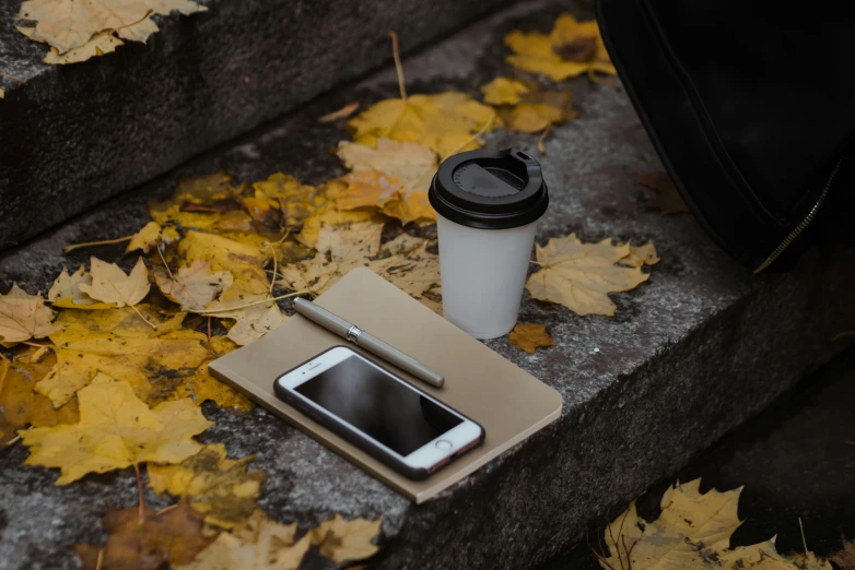 a cup of coffee next to a cell phone, a still life, trending on pexels, autumn leaves on the ground, thumbnail, iconic design, multiple stories