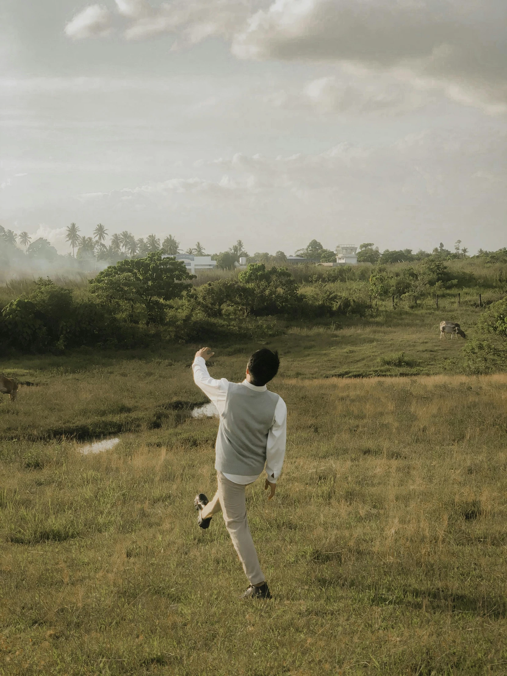a man flying a kite on top of a lush green field, an album cover, inspired by Max Liebermann, pexels contest winner, sri lankan landscape, low quality footage, elegant cinematic pose, running in savana