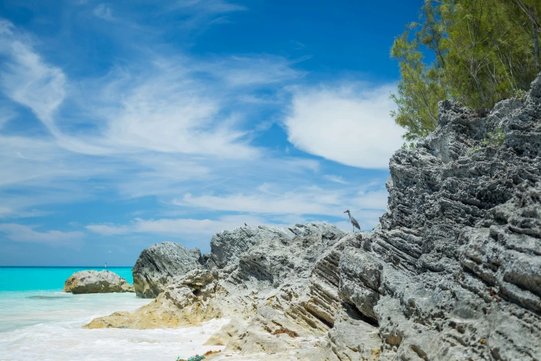 a couple of rocks sitting on top of a sandy beach, bahamas, trees and cliffs, profile image, grey