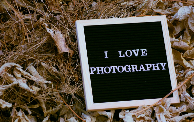 a black and white sign that says i love photography, a polaroid photo, unsplash, art photography, plant photography, glam photo, camera on the ground, photograph captured in the woods