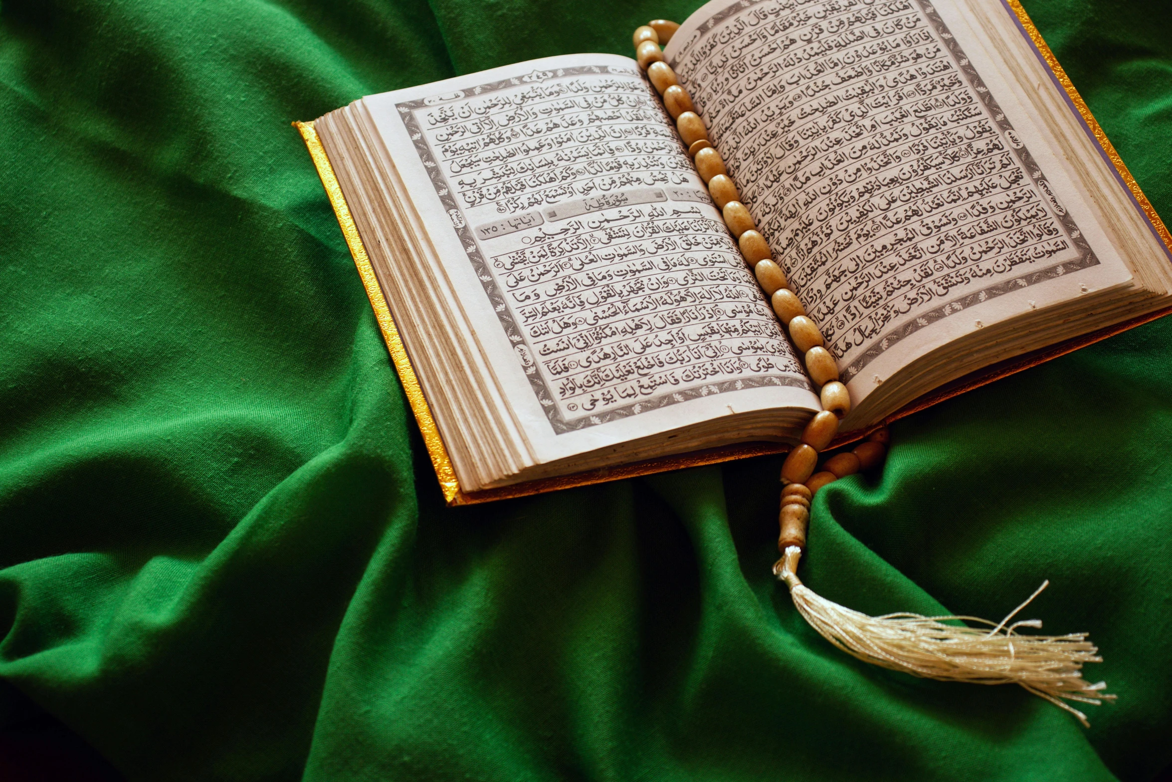 an open book sitting on top of a green cloth, hurufiyya, wearing green, thumbnail, mosque, features