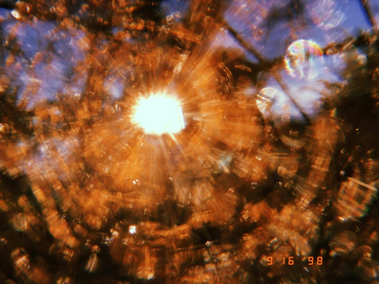 the sun shines brightly through the branches of a tree, by Jan Rustem, video art, supernova explosion, 1999 photograph, gopro photo, some chaotic sparkles