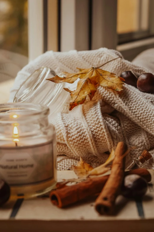 a candle sitting on top of a table next to a window, a still life, trending on pexels, leaves and simple cloth, acorns, slide show, autum