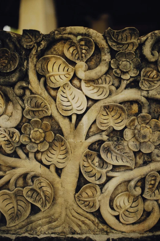 a close up of a carving of a tree, inspired by Isabel Codrington, complex ceiling, ornate floral, inside a tomb, buddhist art