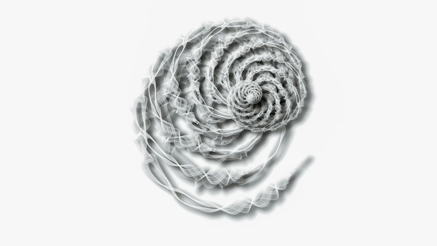 a spiral shaped object on a white surface, inspired by Anna Füssli, generative art, loose white braid, energy pulses, album artwork, white and silver