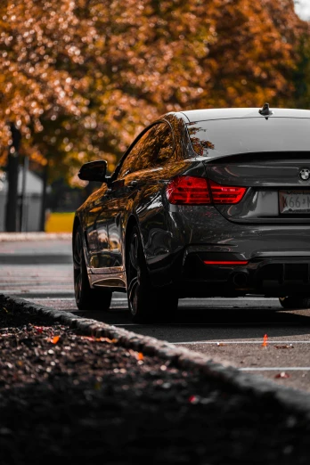 a car parked on the side of the road, by Niko Henrichon, pexels contest winner, renaissance, bmw, black and brown colors, profile pic, aftermarket parts