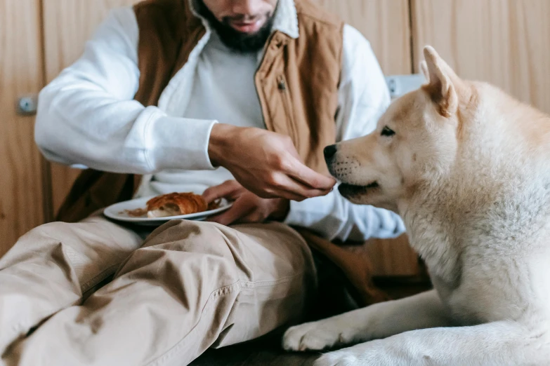 a man feeding a dog a plate of food, trending on pexels, avatar image, manuka, beige, comfortable atmosphere