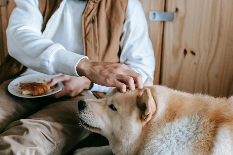 a man feeding a dog a plate of food, trending on pexels, visual art, samoyed dog, background image, comforting, australian