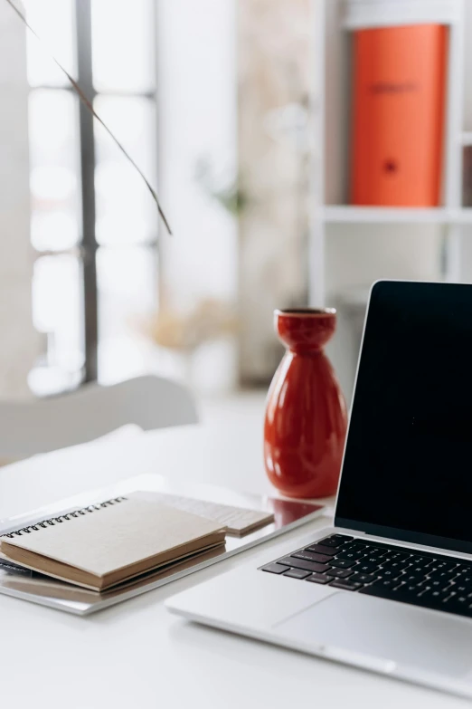 a laptop computer sitting on top of a white desk, trending on pexels, modernism, accents of red, curated collections, warmly lit posh study, dslr photo of a vase on a table