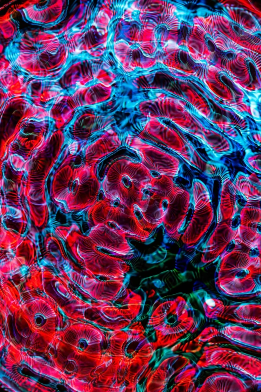 an abstract painting of red and blue swirls, a microscopic photo, by Dan Scott, wrinkles and muscle tissues, red neon roses, photograph taken in 2 0 2 0, made of lab tissue