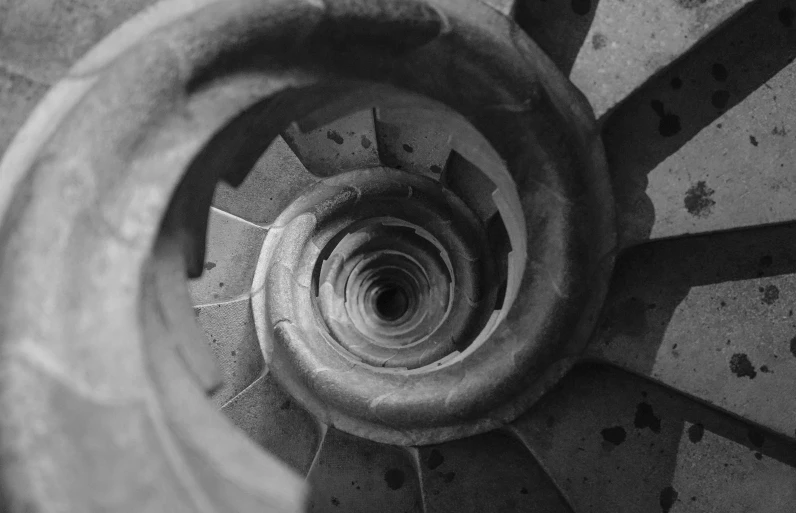 a black and white photo of a spiral staircase, by Gaudi, unsplash contest winner, concrete art, stone carving, petals, infinity, spire