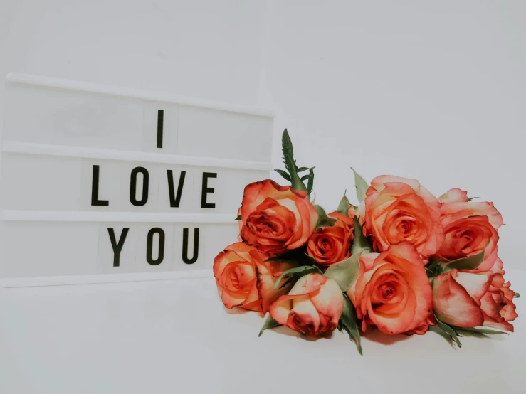 a bouquet of roses sitting next to a sign that says i love you, pexels contest winner, light box, thumbnail, abcdefghijklmnopqrstuvwxyz, orange and white