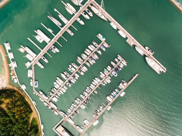 a marina filled with lots of boats on top of a body of water, a digital rendering, pexels contest winner, top down photo at 45 degrees, vertical orientation, boat dock, singapore