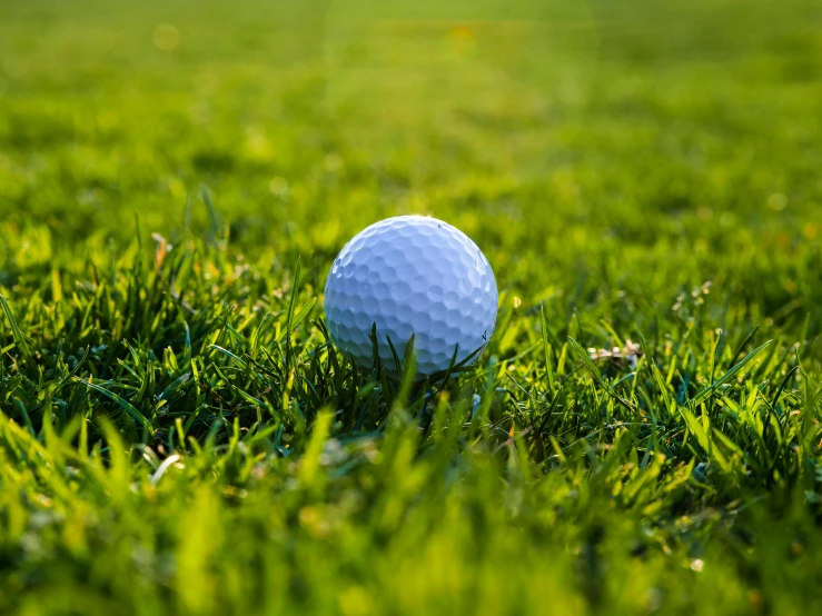 a golf ball sitting on top of a lush green field