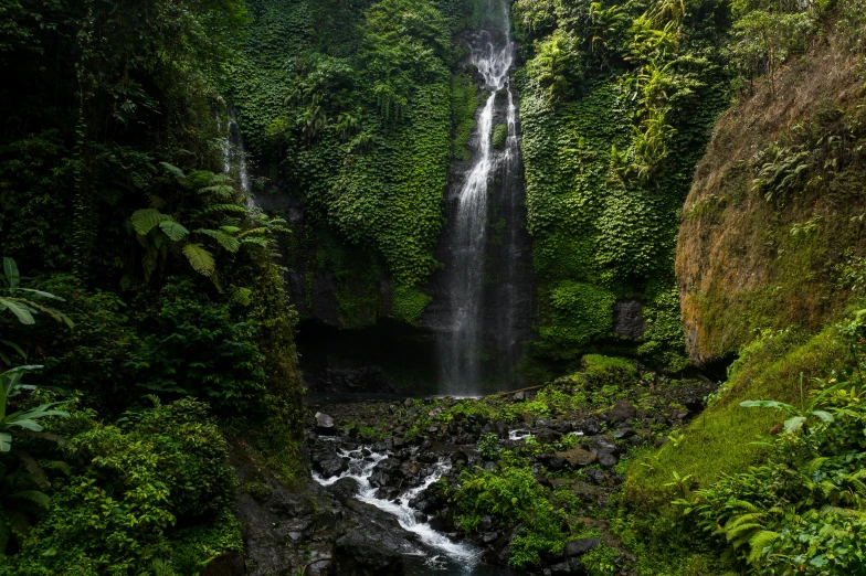 a waterfall in the middle of a lush green forest, by Daniel Seghers, pexels contest winner, hurufiyya, bali, conde nast traveler photo, overview, fan favorite