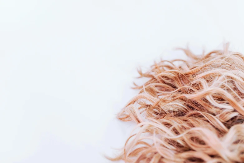 a pair of scissors sitting on top of a pile of hair, by Carey Morris, trending on pexels, renaissance, light pink hair, with a white background, long curly fur, close - up of face