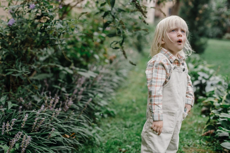 a little girl standing on top of a lush green field, an album cover, inspired by Elsa Beskow, pexels contest winner, overalls and a white beard, walking boy, tongue out, the autumn plague gardener