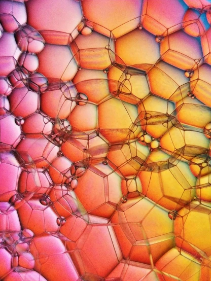 a close up view of the inside of a cell phone, a microscopic photo, flickr, generative art, rainbow bubbles, hexagonal wall, pink and orange, beautiful glass work